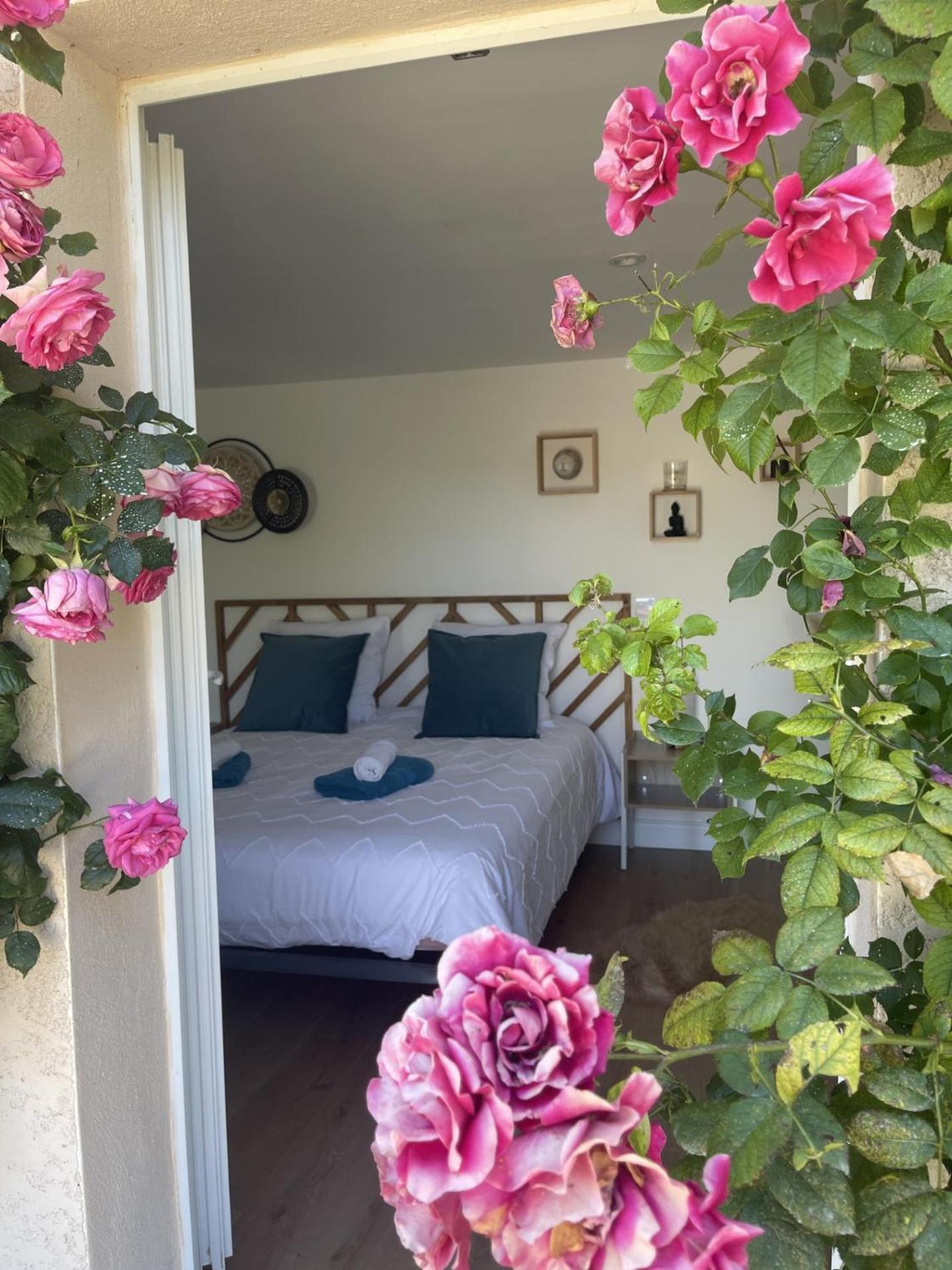 Alba Spa "Love Jacuzzi Sauna" Villefranche-de-Lauragais Extérieur photo